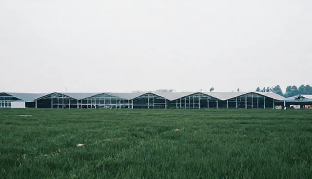 商机匹配中,是否越精准越好?误区澄清